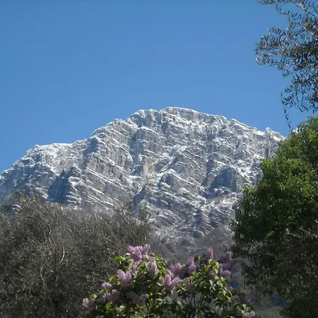 Albergo Navene 2* Navene